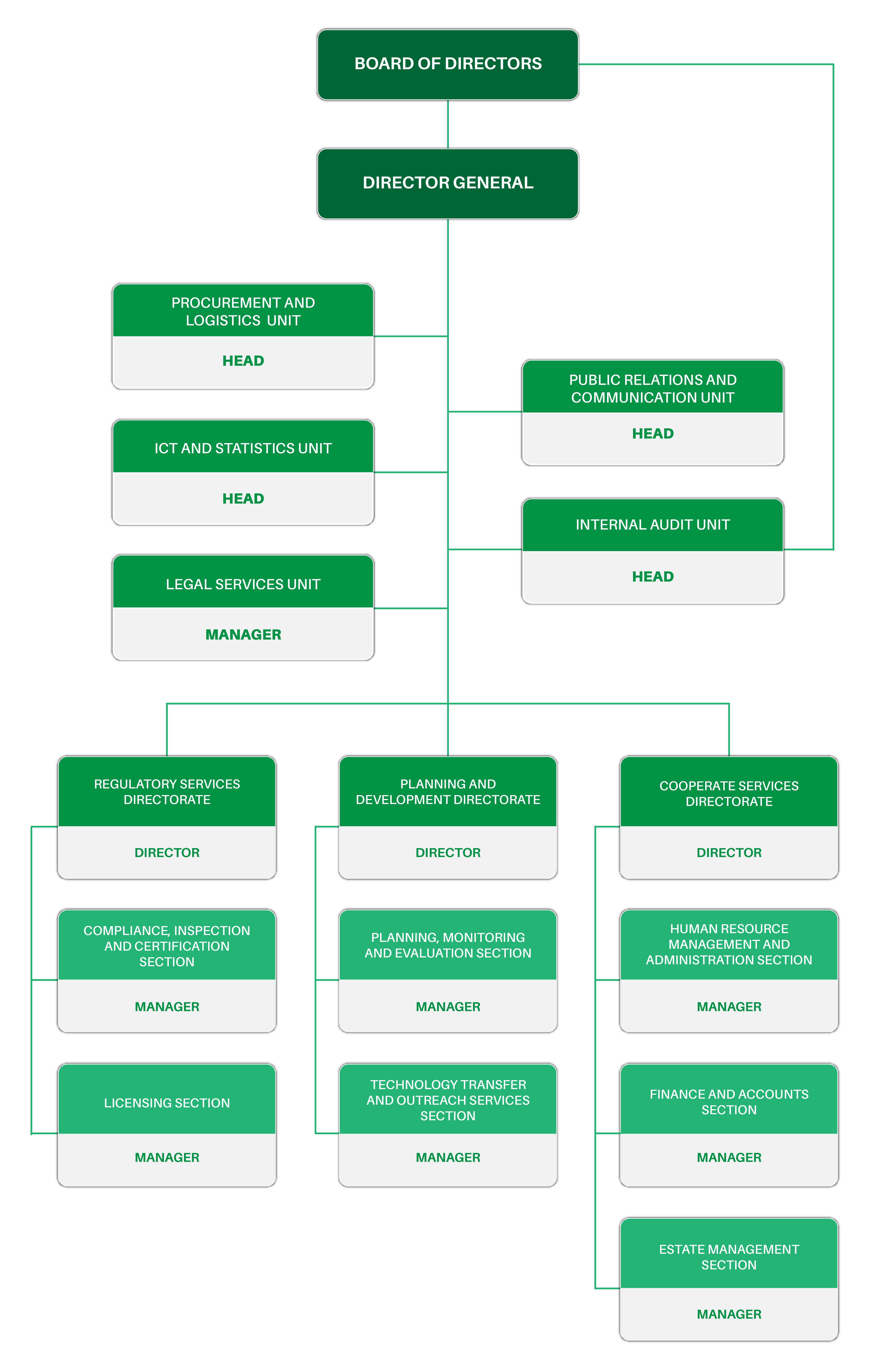 Organization Structure